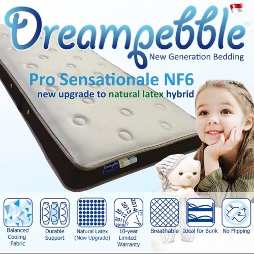 DreamPebble